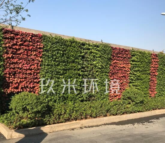 杭州高揚國際酒店植物墻