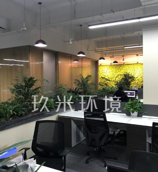 杭州正大裝飾室內景觀及植物墻